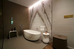 The Arcadia (D11), Condominium #456618791